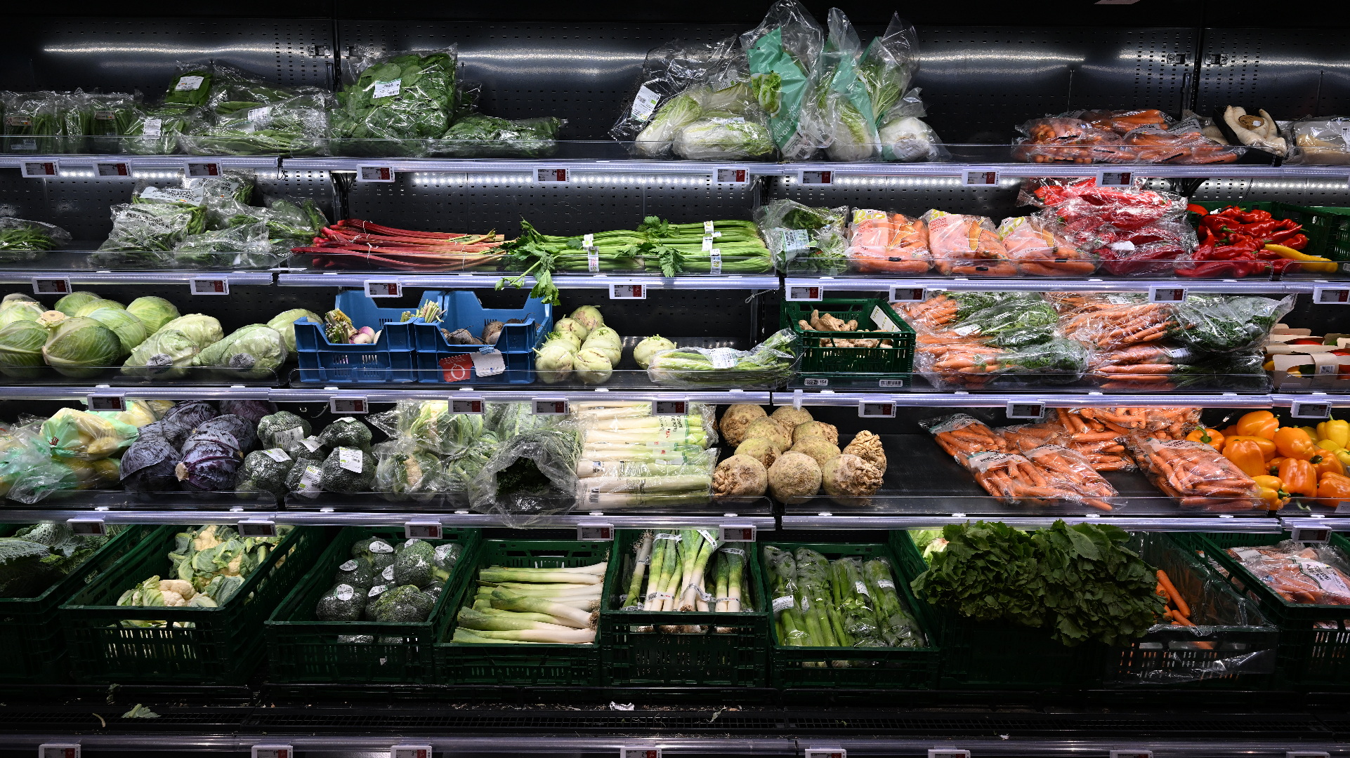 AD Delhaize Lebbeke, foto uit de winkel